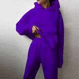 2025 Women's Clothing Pure Color Casual Fashion Sports Pants Two-Piece Set Of Women's Clothing Winter HZ0108