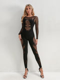 2025 New Hottie Mesh Perspective Sexy Long-Sleeved Collar Lace Jumpsuit HZ0108