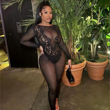 New 2025 Solid-Colored Round-Necked Back-Up Sexy Perspective Long-Sleeved Knit Trousers HZ0108